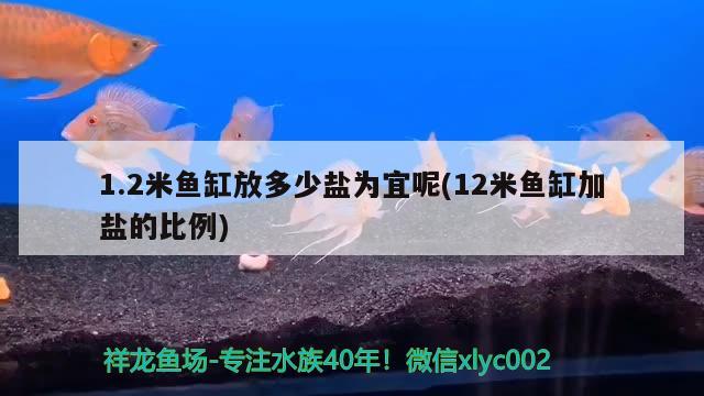 1.2米鱼缸放多少盐为宜呢(12米鱼缸加盐的比例) 水族世界