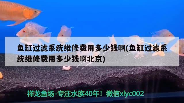 鱼缸过滤系统维修费用多少钱啊(鱼缸过滤系统维修费用多少钱啊北京)