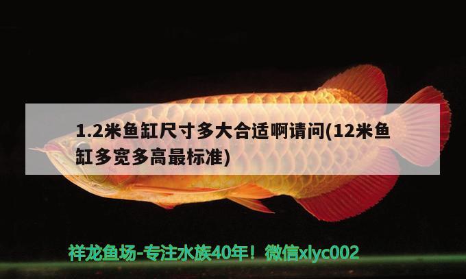 1.2米鱼缸尺寸多大合适啊请问(12米鱼缸多宽多高最标准)