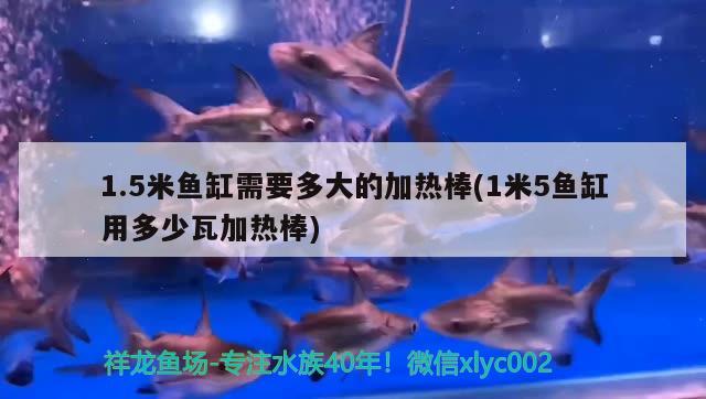 1.5米鱼缸需要多大的加热棒(1米5鱼缸用多少瓦加热棒) 祥龙龙鱼鱼粮