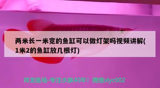 两米长一米宽的鱼缸可以做灯架吗视频讲解(1米2的鱼缸放几根灯) 养鱼的好处