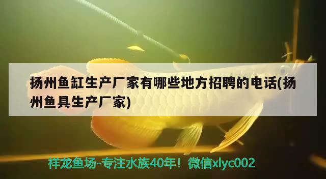 扬州鱼缸生产厂家有哪些地方招聘的电话(扬州鱼具生产厂家) 广州水族器材滤材批发市场