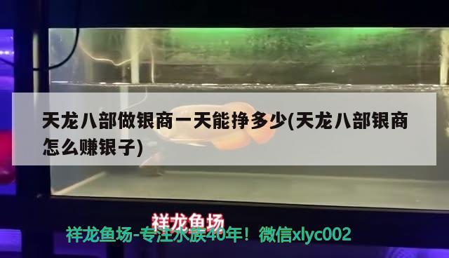 天龙八部做银商一天能挣多少(天龙八部银商怎么赚银子)