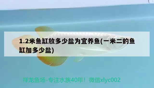 1.2米鱼缸放多少盐为宜养鱼(一米二的鱼缸加多少盐)