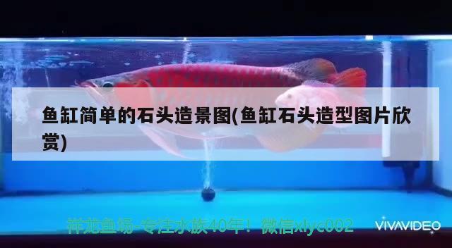 鱼缸简单的石头造景图(鱼缸石头造型图片欣赏) 水族用品