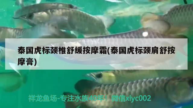 泰国虎标颈椎舒缓按摩霜(泰国虎标颈肩舒按摩膏) 观赏鱼