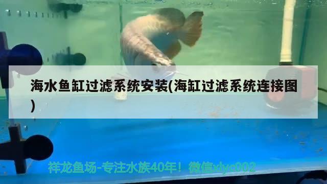 海水鱼缸过滤系统安装(海缸过滤系统连接图) 海水鱼