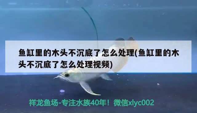 鱼缸里的木头不沉底了怎么处理(鱼缸里的木头不沉底了怎么处理视频)