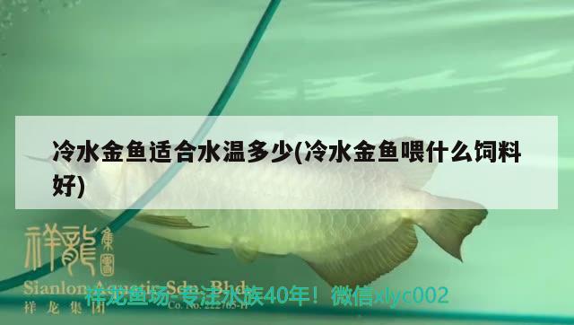 冷水金鱼适合水温多少(冷水金鱼喂什么饲料好) 观赏鱼