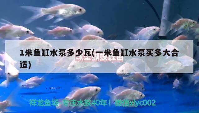 1米鱼缸水泵多少瓦(一米鱼缸水泵买多大合适)