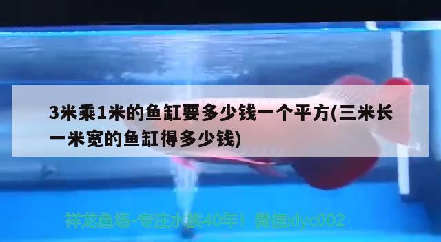 3米乘1米的鱼缸要多少钱一个平方(三米长一米宽的鱼缸得多少钱)