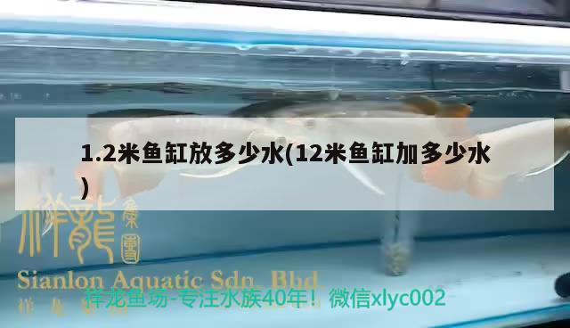 1.2米鱼缸放多少水(12米鱼缸加多少水) 祥龙水族医院