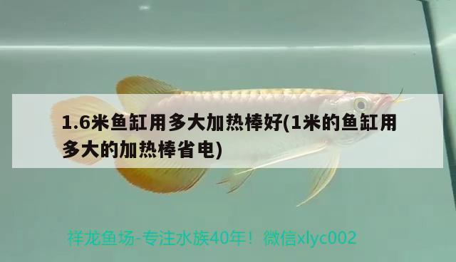 1.6米鱼缸用多大加热棒好(1米的鱼缸用多大的加热棒省电) 鱼缸百科