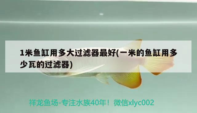 1米鱼缸用多大过滤器最好(一米的鱼缸用多少瓦的过滤器) 广州水族批发市场