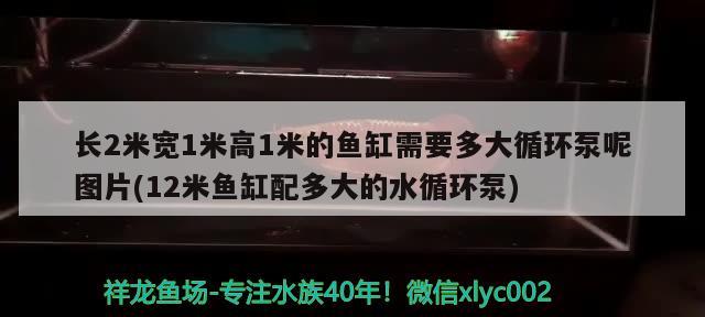 长2米宽1米高1米的鱼缸需要多大循环泵呢图片(12米鱼缸配多大的水循环泵)