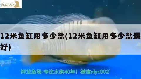 12米鱼缸用多少盐(12米鱼缸用多少盐最好)