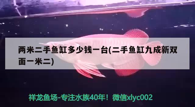 两米二手鱼缸多少钱一台(二手鱼缸九成新双面一米二)