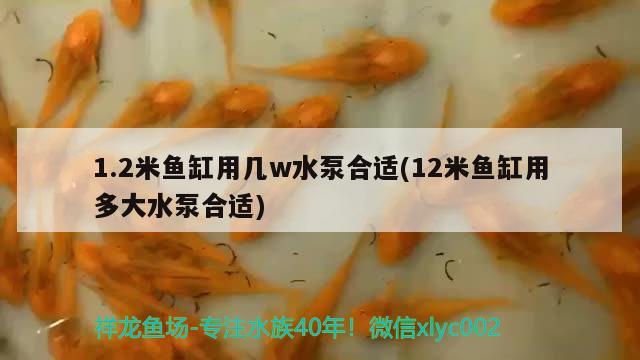 1.2米鱼缸用几w水泵合适(12米鱼缸用多大水泵合适)