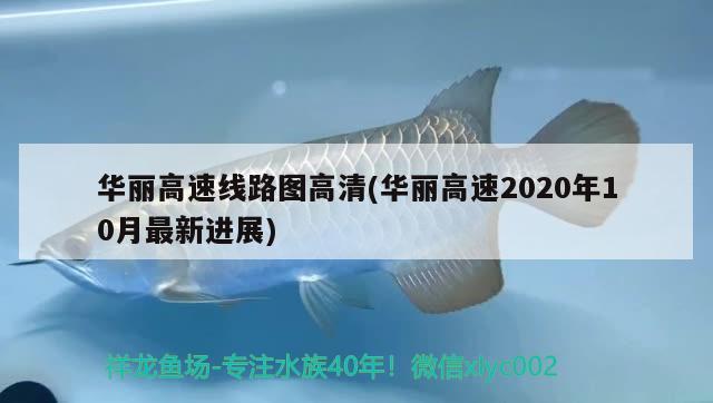 华丽高速线路图高清(华丽高速2020年10月最新进展)