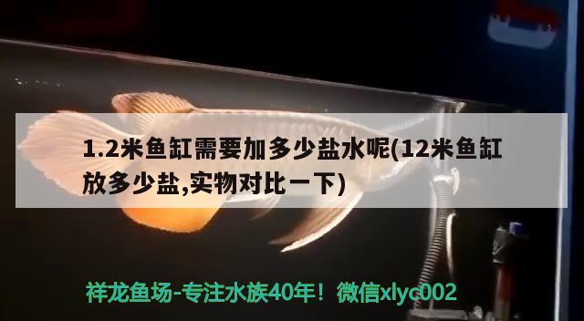 1.2米鱼缸需要加多少盐水呢(12米鱼缸放多少盐,实物对比一下)