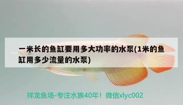 一米长的鱼缸要用多大功率的水泵(1米的鱼缸用多少流量的水泵) 羽毛刀鱼苗