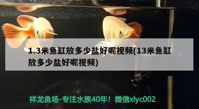 1.3米鱼缸放多少盐好呢视频(13米鱼缸放多少盐好呢视频) 观赏鱼