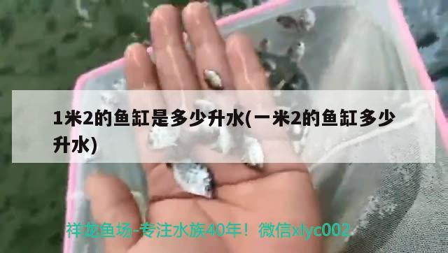 1米2的鱼缸是多少升水(一米2的鱼缸多少升水)