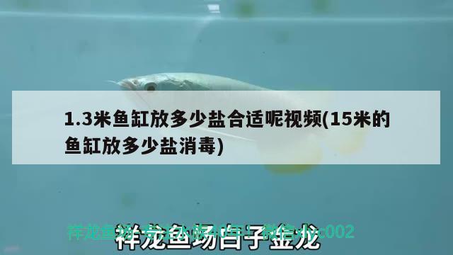 1.3米鱼缸放多少盐合适呢视频(15米的鱼缸放多少盐消毒) 黄金河虎鱼