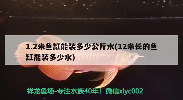 1.2米鱼缸能装多少公斤水(12米长的鱼缸能装多少水) 青龙鱼