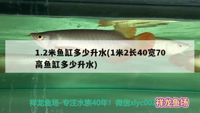 1.2米鱼缸多少升水(1米2长40宽70高鱼缸多少升水)