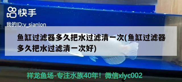 鱼缸过滤器多久把水过滤清一次(鱼缸过滤器多久把水过滤清一次好)