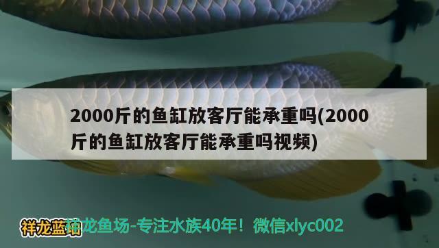 2000斤的鱼缸放客厅能承重吗(2000斤的鱼缸放客厅能承重吗视频)