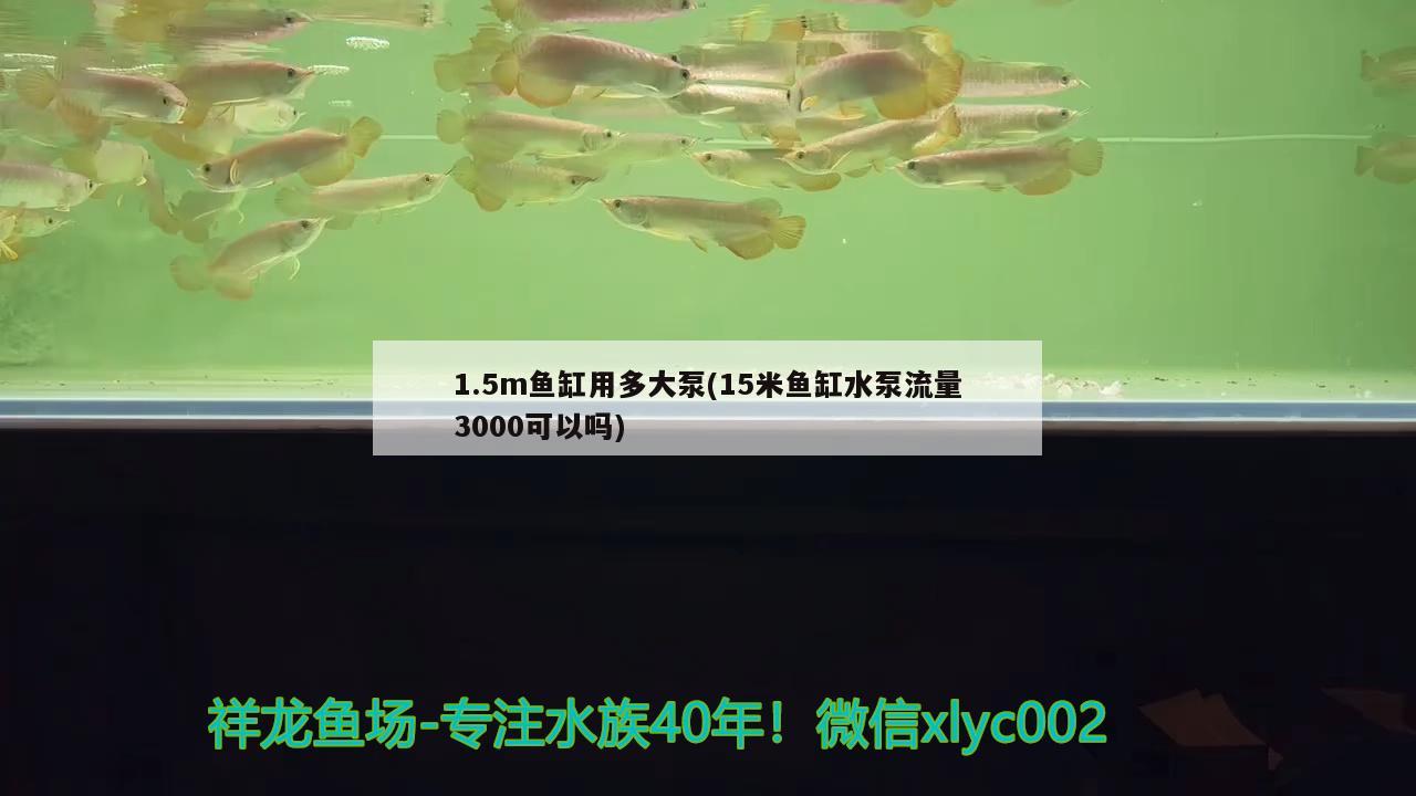 1.5m鱼缸用多大泵(15米鱼缸水泵流量3000可以吗) 鱼缸水泵