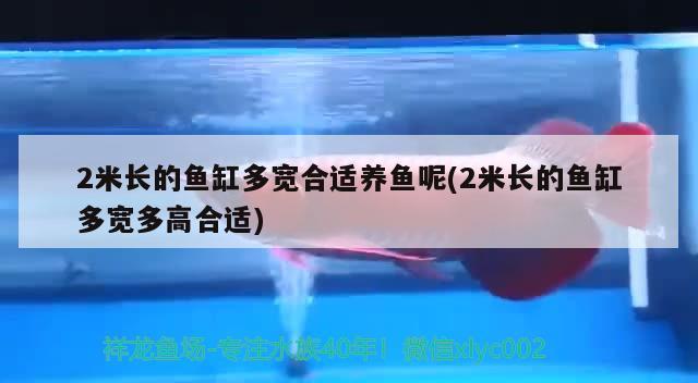 2米长的鱼缸多宽合适养鱼呢(2米长的鱼缸多宽多高合适) 观赏鱼市场