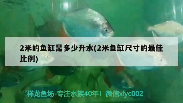 2米的鱼缸是多少升水(2米鱼缸尺寸的最佳比例) 元宝凤凰鱼专用鱼粮