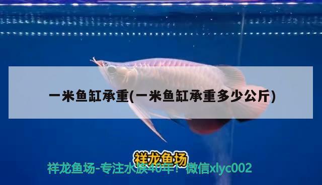 一米鱼缸承重(一米鱼缸承重多少公斤)