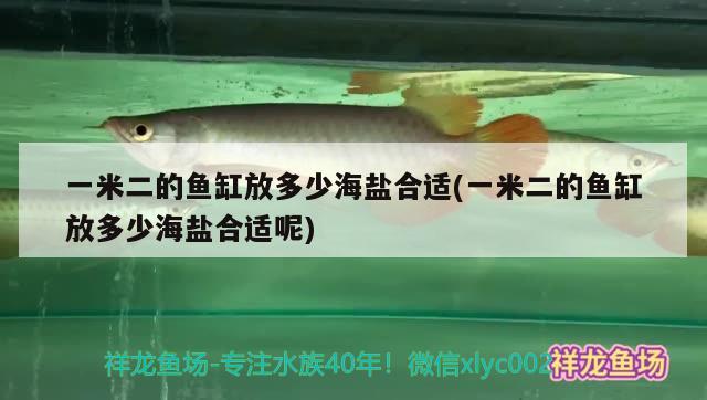 一米二的鱼缸放多少海盐合适(一米二的鱼缸放多少海盐合适呢) 水族维护服务（上门）