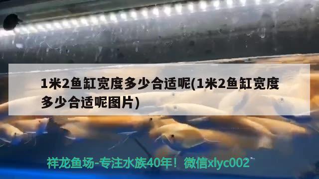 1米2鱼缸宽度多少合适呢(1米2鱼缸宽度多少合适呢图片) 观赏鱼饲料