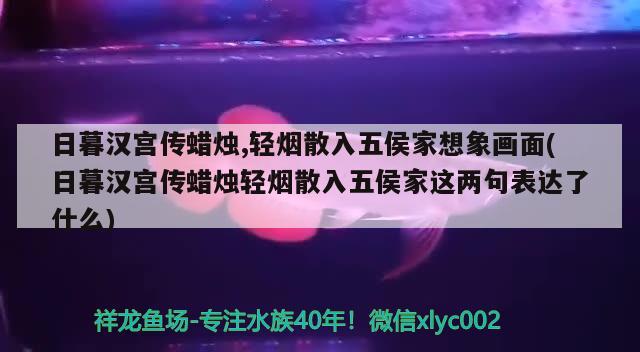 日暮汉宫传蜡烛,轻烟散入五侯家想象画面(日暮汉宫传蜡烛轻烟散入五侯家这两句表达了什么)