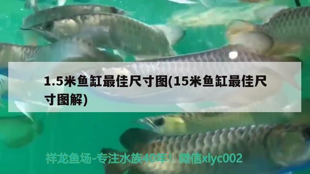 1.5米鱼缸最佳尺寸图(15米鱼缸最佳尺寸图解)