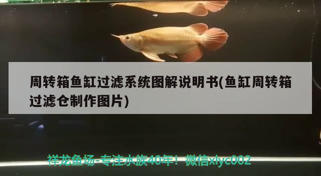 周转箱鱼缸过滤系统图解说明书(鱼缸周转箱过滤仓制作图片) 造景/装饰