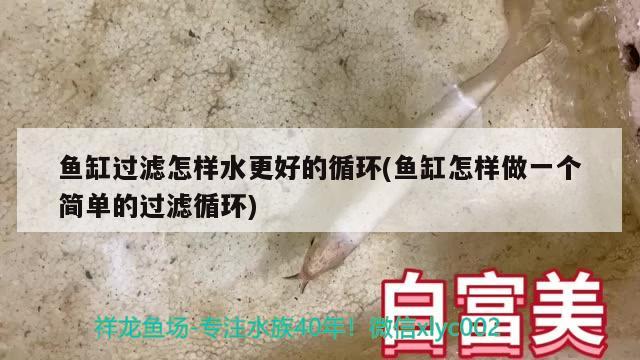 鱼缸过滤怎样水更好的循环(鱼缸怎样做一个简单的过滤循环)