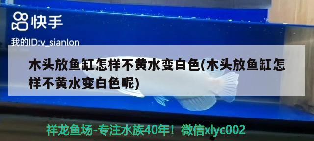 木头放鱼缸怎样不黄水变白色(木头放鱼缸怎样不黄水变白色呢)