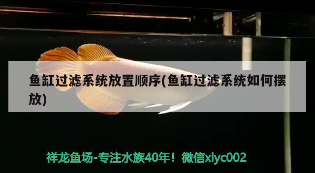 鱼缸过滤系统放置顺序(鱼缸过滤系统如何摆放)