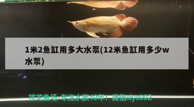 1米2鱼缸用多大水泵(12米鱼缸用多少w水泵)