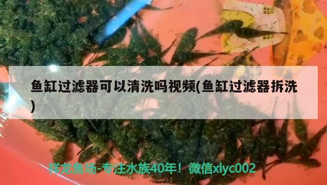 鱼缸过滤器可以清洗吗视频(鱼缸过滤器拆洗) 鱼缸水泵