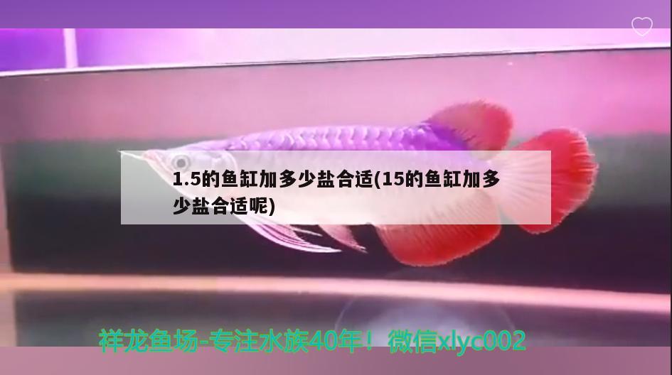 1.5的鱼缸加多少盐合适(15的鱼缸加多少盐合适呢)