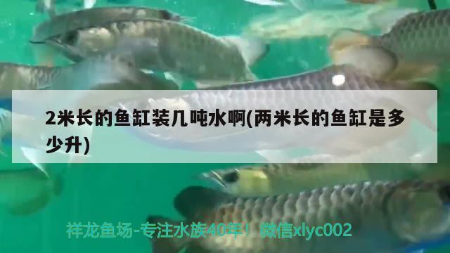 2米长的鱼缸装几吨水啊(两米长的鱼缸是多少升)