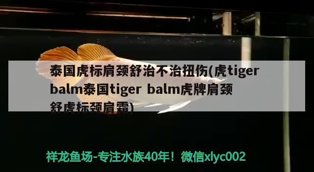 泰国虎标肩颈舒治不治扭伤(虎tigerbalm泰国tigerbalm虎牌肩颈舒虎标颈肩霜)