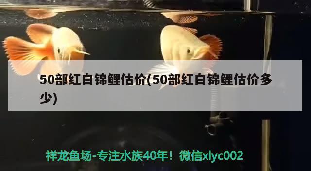 50部红白锦鲤估价(50部红白锦鲤估价多少) 红白锦鲤鱼